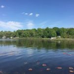 Roses Retreats Cabins & Campsites