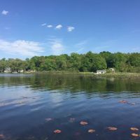Roses Retreats Cabins & Campsites ico