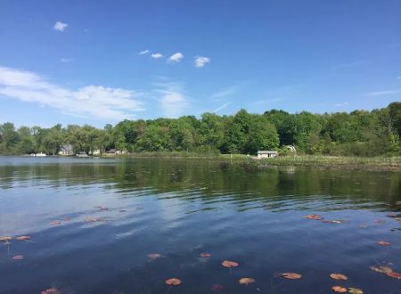 Roses Retreats Cabins & Campsites