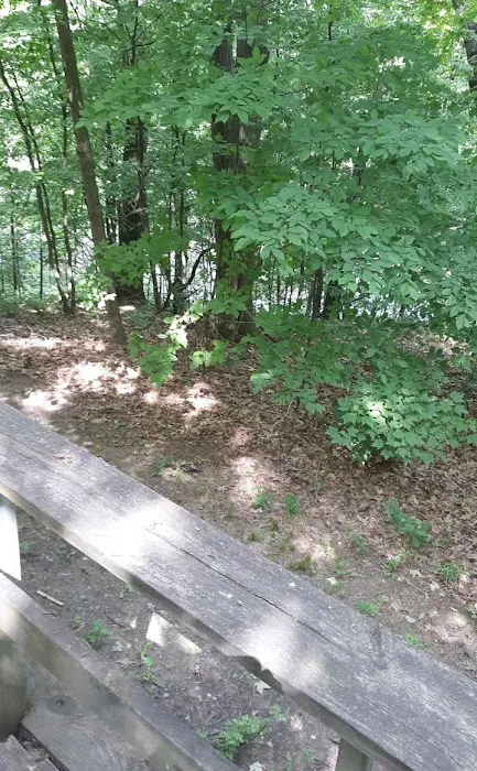 Double R Ranch Picture 6