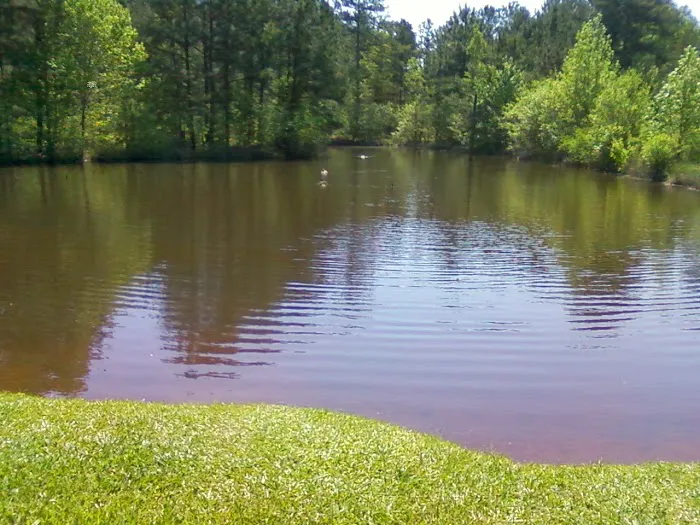 Pine Lakes RV Park Picture 2