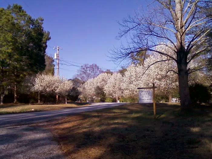 Pine Lakes RV Park Picture 3