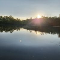 Carrollton Oaks Community ico