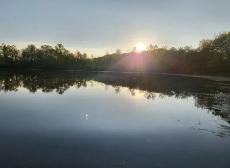 Carrollton Oaks Community