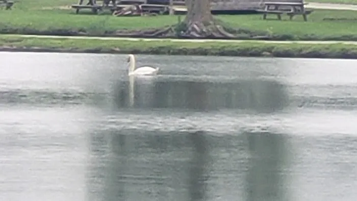 Quail Hollow Mobile Home Park Picture 7