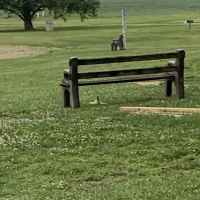 Hoosierland Campground ico