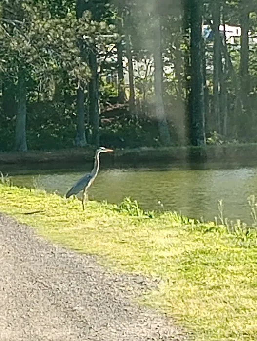 Heart of Georgia RV Park Picture 10