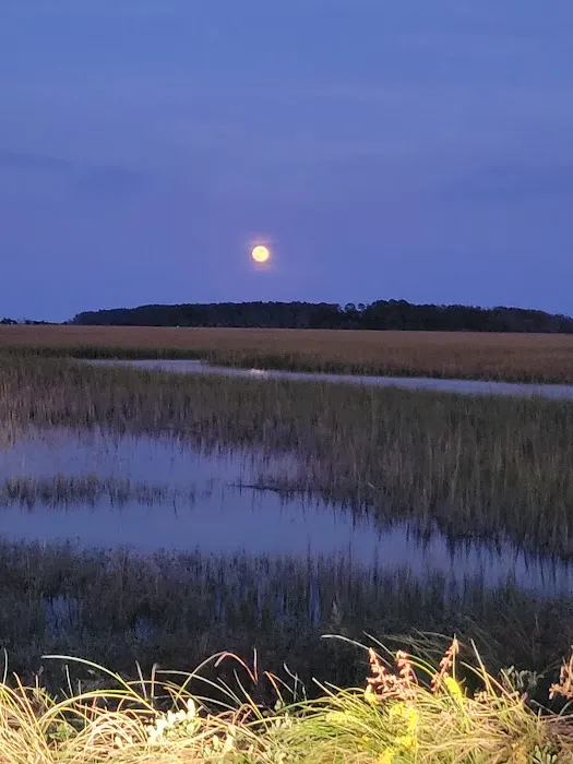 Myrtle Beach RV Resort Picture 5