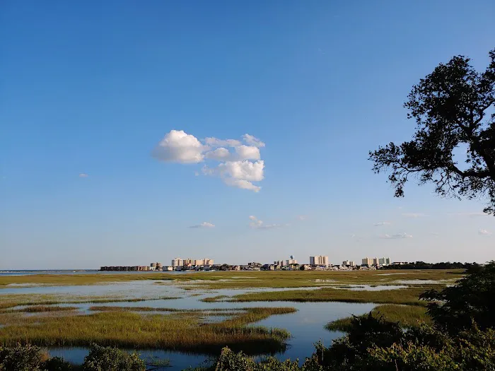 Myrtle Beach RV Resort Picture 6