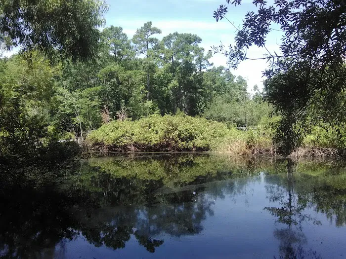 Myrtle Beach RV Resort Picture 9