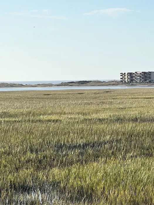 Myrtle Beach RV Resort Picture 8