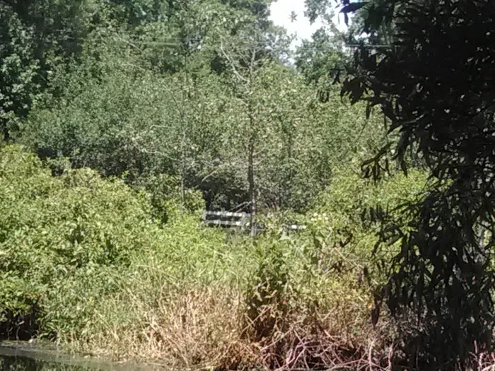 Myrtle Beach RV Resort Picture 10