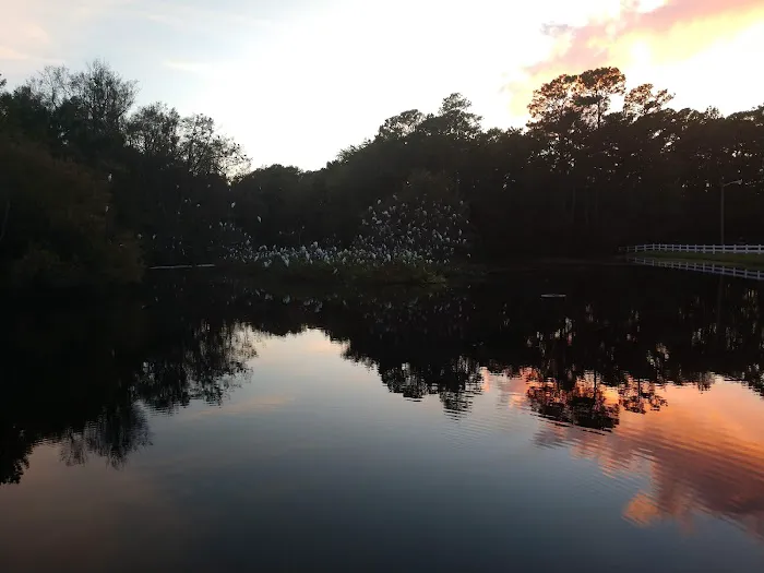 Myrtle Beach RV Resort Picture 7