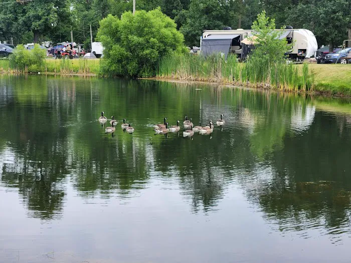 Pla-Mor Campground Picture 5