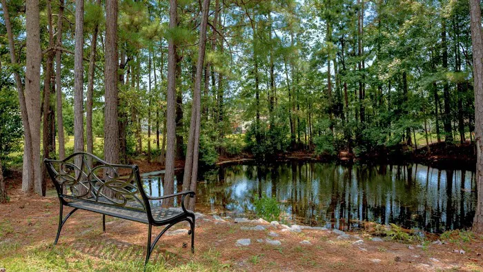 Country Lakes Picture 6