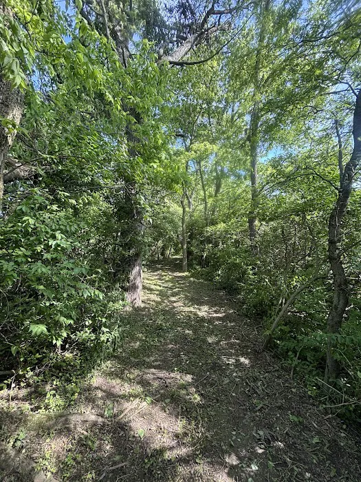 Mohawk Camp Ground Picture 10