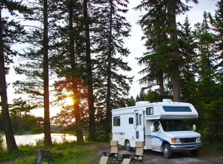 GloWood Campground