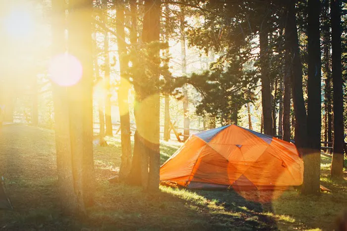 GloWood Campground Picture 6