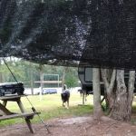 Cedar Pond Campground
