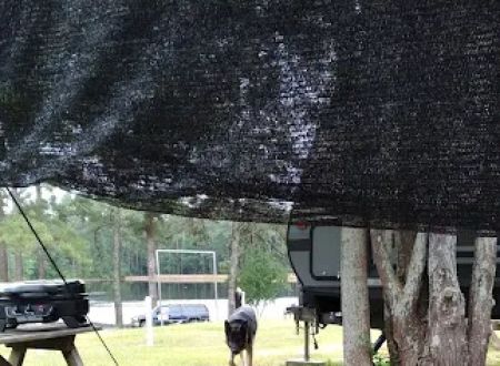 Cedar Pond Campground