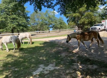Renfroe Ranch Campground