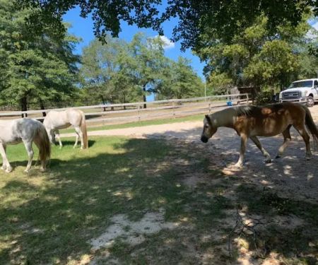 Renfroe Ranch Campground