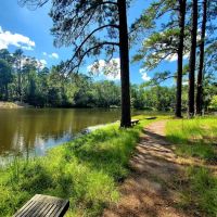 Lick Fork Lake Campground ico