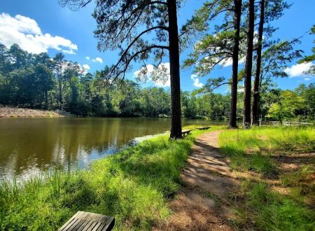 Lick Fork Lake Campground