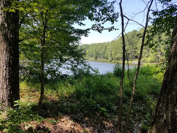 Lick Fork Lake Campground Picture 5