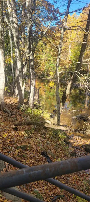 Pigeon River Campground Picture 7