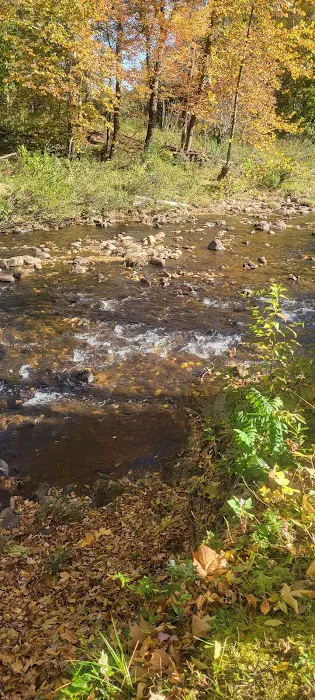 Pigeon River Campground Picture 8