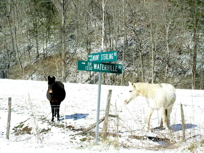 Little Big Creek Horse Camp Picture 5