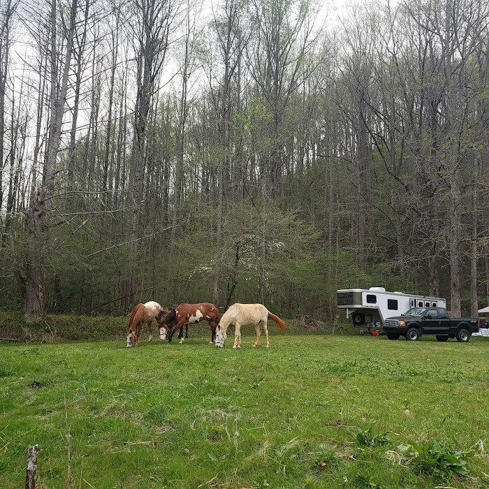 Little Big Creek Horse Camp Picture 9