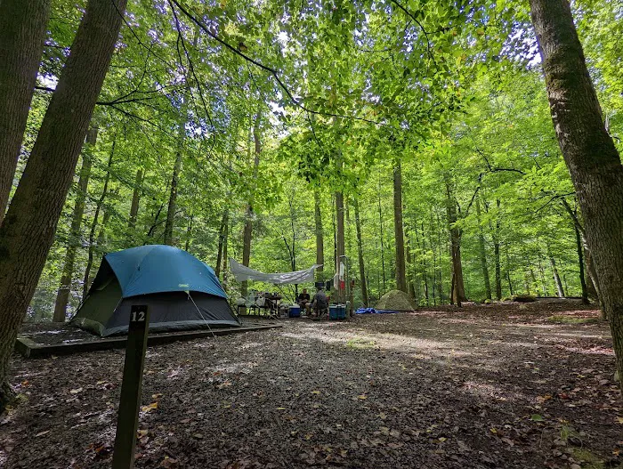 Big Creek Group Camp Picture 2