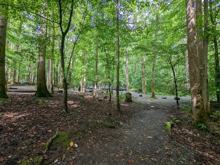 Big Creek Group Camp Picture 6