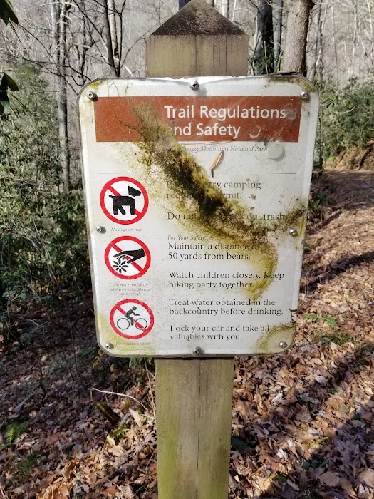 Little Cataloochee Trailhead Picture 10