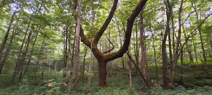 Little Cataloochee Trailhead Picture 2