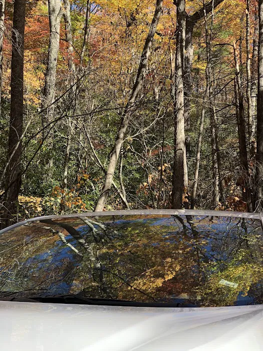 Little Cataloochee Trailhead Picture 6