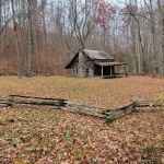 Little Cataloochee Trailhead