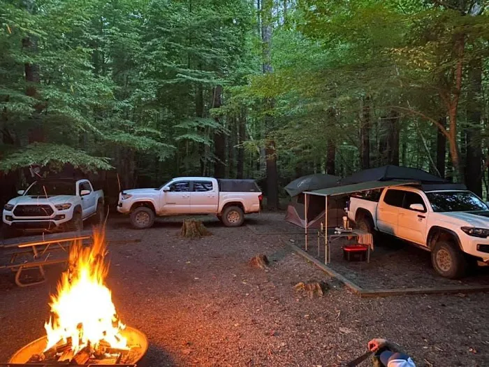 Cataloochee Group Campground Picture 1