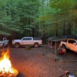 Cataloochee Group Campground