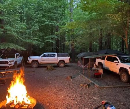 Cataloochee Group Campground