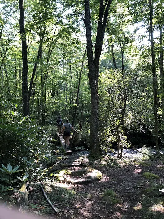 Cataloochee Group Campground Picture 3