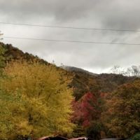 Mountain Shadows Campground ico