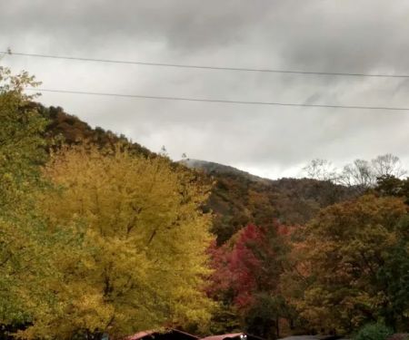 Mountain Shadows Campground