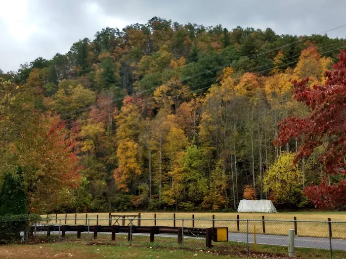Mountain Shadows Campground Picture 4