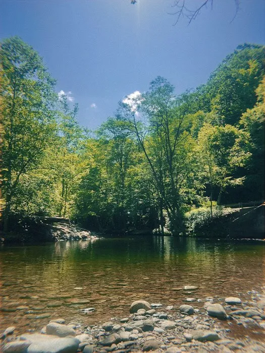 Sunburst Campground Picture 2