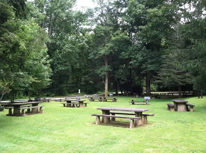 Sunburst Campground Picture 3