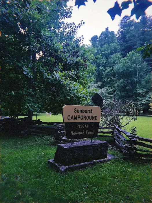 Sunburst Campground Picture 6