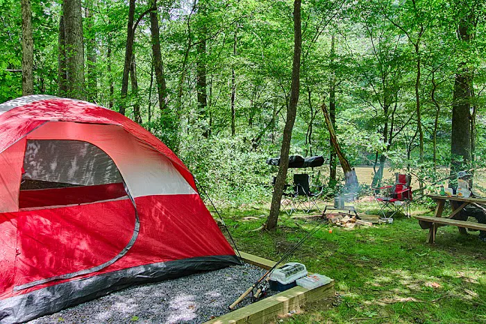 Pigeon River Campground Picture 6